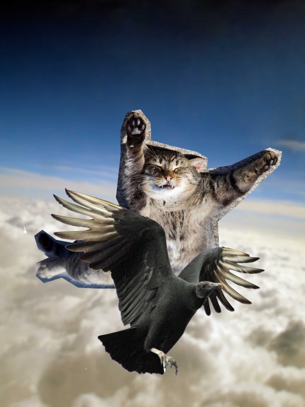 Creation of sky blind: Step 1